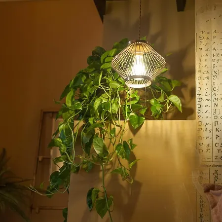 Bed & Breakfast In Rada Trani